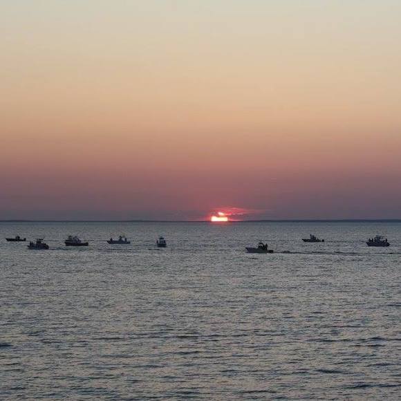 Meet your Posher, Lynnette - Picture 1 of 1